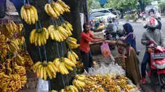 Pembeli memilih buah pisang di Pasar Lembang, Kota Tangerang, Banten, Kamis (30/3/2023). (Liputan6.com/Angga Yuniar)