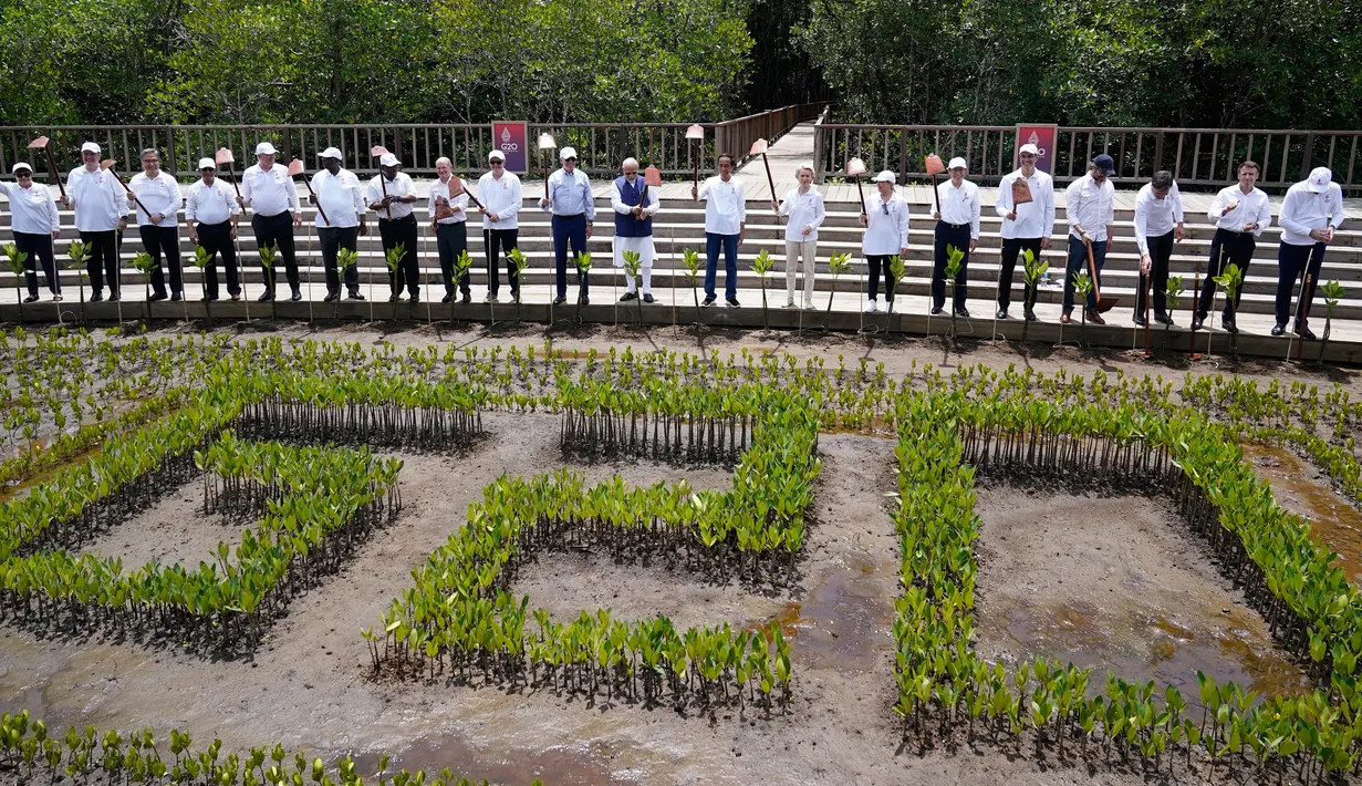 Para pemimpin dunia mengangkat cangkul saat foto bersama pada acara penanaman mangrove di sela-sela pertemuan KTT G20 di Taman Hutan Raya Ngurah Rai, Denpasar, Bali, Indonesia, Rabu (16/11/2022). Para pemimpin dunia menanam mangrove bersama untuk menekankan peran penting menangani krisis iklim. (AP Photo/Alex Brandon, Pool)