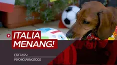 Berita video prediksi laga semifnal Euro 2020 antara Italia vs Spanyol oleh anjing Psychic Sausage Dog.