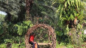 Menikmati Kekayaan Flora Nusantara di Tengah Jakarta