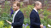Pangeran Harry dan Pangeran William. (Dominic Lipinski /Pool Photo via AP, File)