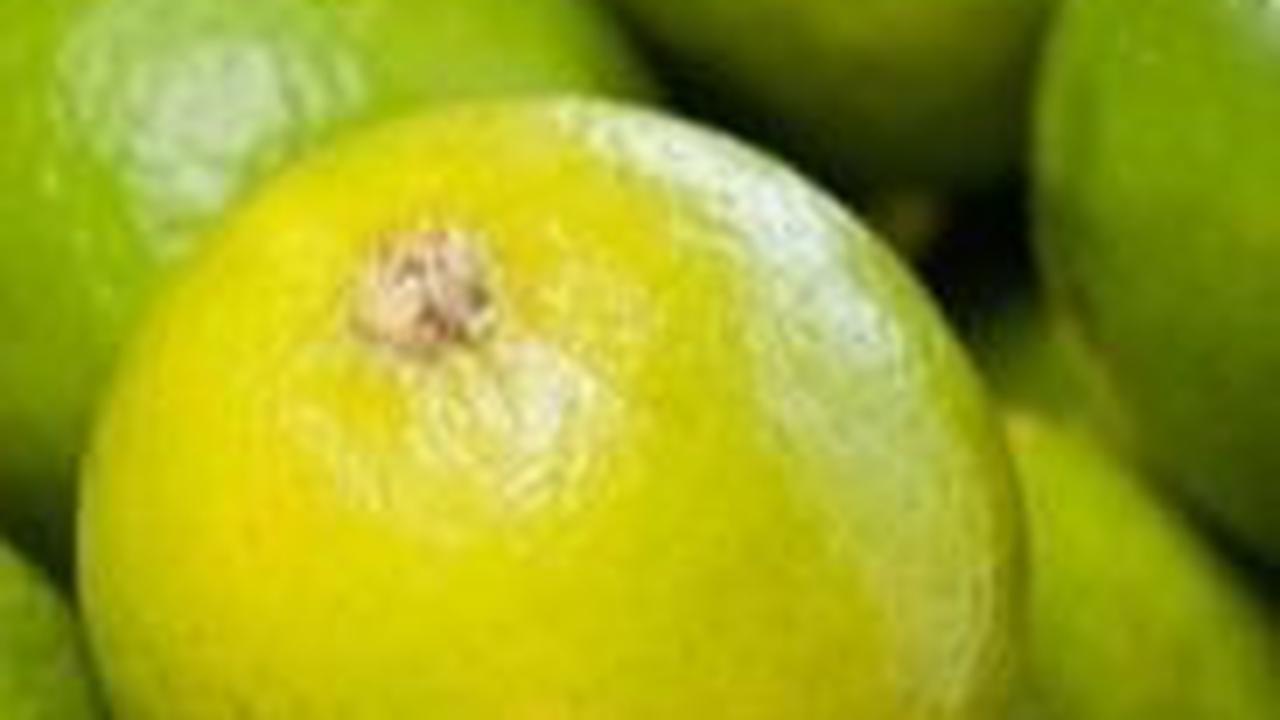 <b>6. Jeruk Nipis</b><br>