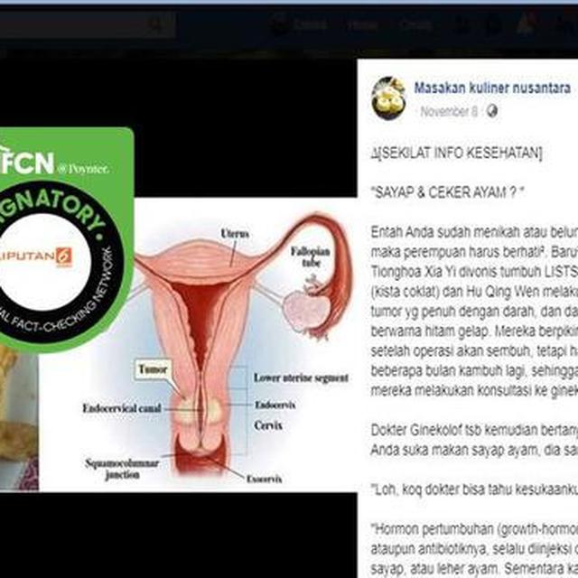 Cek Fakta Makan Sayap Dan Ceker Ayam Diklaim Picu Kanker Pada