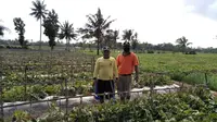Kementan menggelar pelatihan untuk petani bekerja sama dengan BPP seperti di BPP Balung (istimewa)
