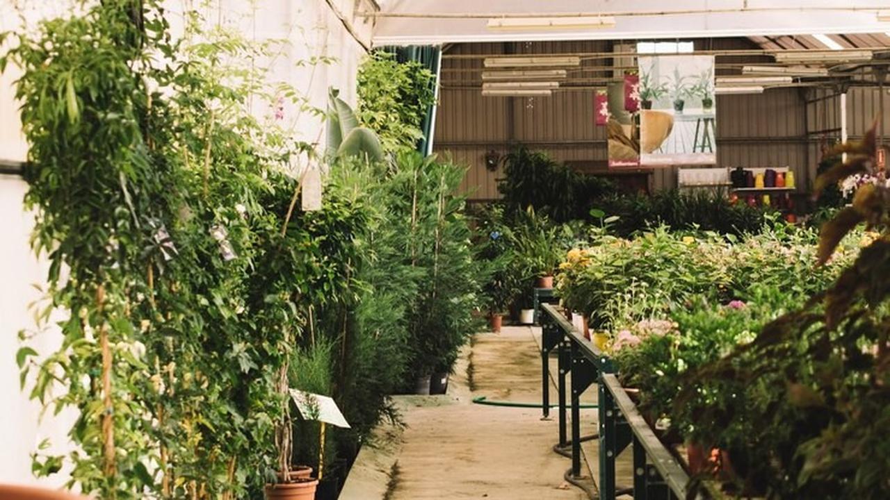 Ilustrasi Rooftop Garden