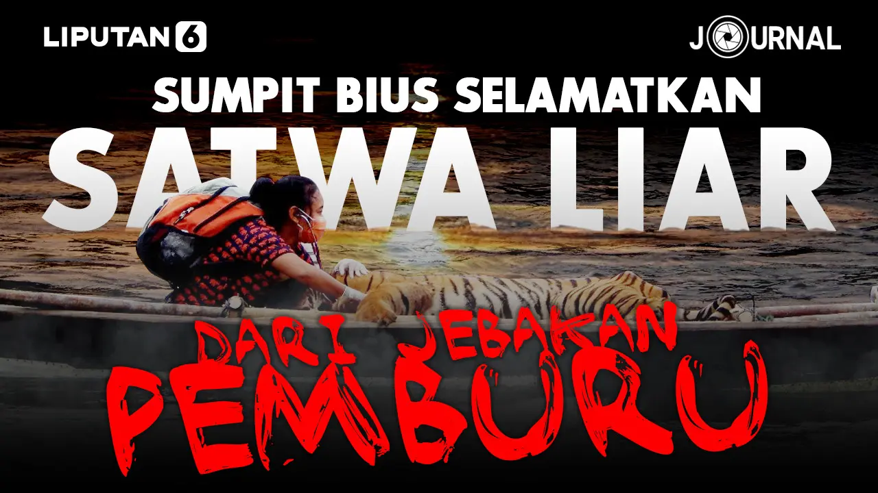 JOURNAL_Sumpit Bius Selamatkan Satwa Liar dari Jebakan Pemburu