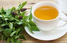 Cara Membuat Air Rebusan Daun Kemangi, Ramuan Herbal untuk Mengatasi Kolesterol