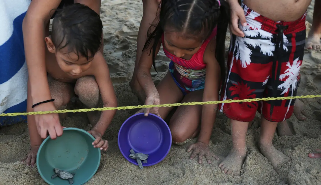 Anak-anak melepaskan anak penyu sisik di pantai Sayulita, Meksiko (2/12). Anak penyu ini adalah hasil konservasi yang dilakukan oleh organisasi "Red Tortuguera". (AP Photo/Marco Ugarte)