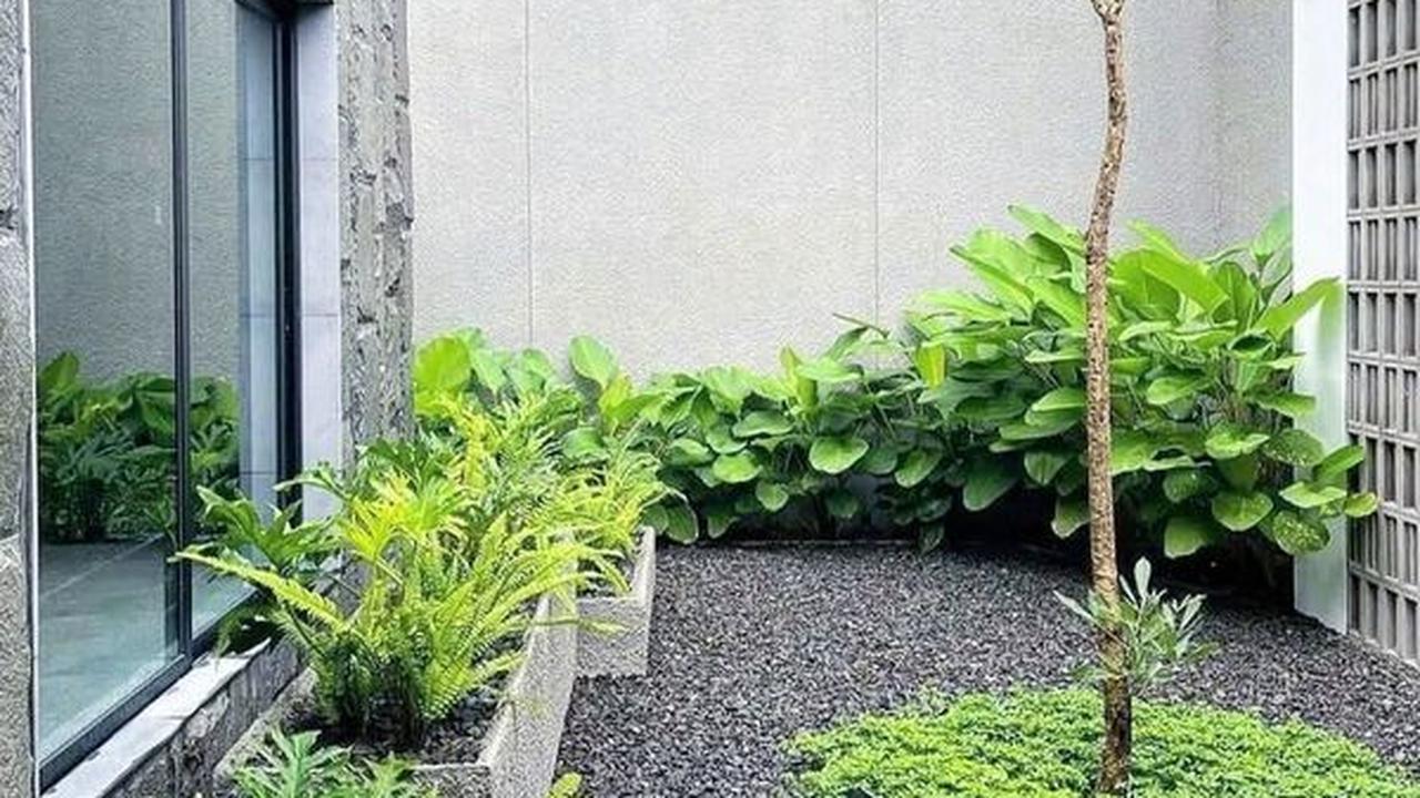 Ilustrasi Taman Kering Batu Koral Minimalis (©Pinterest)