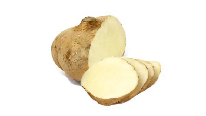 (C) sobatcantik.com