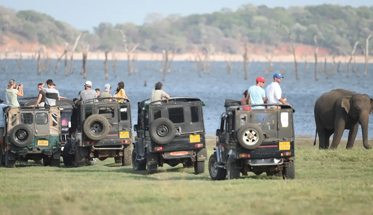 Wisatawan dari jeep safari melihat gajah Sri Lanka di taman nasional Kaudulla, Habarana pada 30 Juli 2018. Pada musim kemarau, gerombolan gajah akan berkumpul di suatu danau yang ada di taman tersebut. (AFP PHOTO/ISHARA S. KODIKARA)
