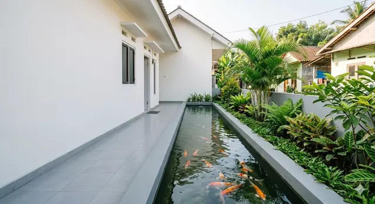 5 Inspirasi Model Kolam Ikan Memanjang di Samping Rumah Subsidi yang Menenangkan