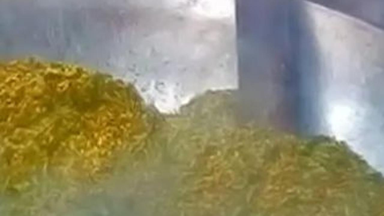 Menjajal Emping Beras, Kuliner Legendaris Penuh Makna dari Bangka Belitung
