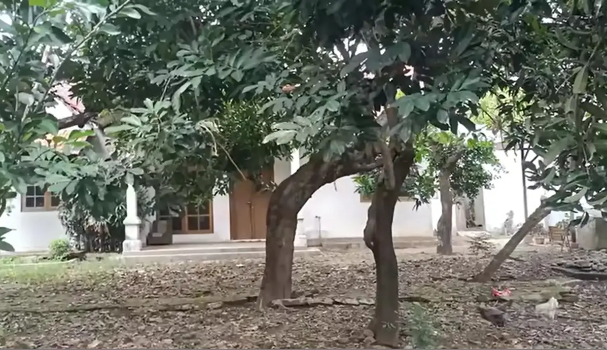 Karena sudah puluhan tahun tak terurus, rumah yang terlihat megah itu mulai rapuh termakan usia. Melansir dari kanal Youtube Rizquna Channel, yang tayang November 2021 lalu, rumah tersebut sudah ganti pemilik. [Youtube/Rizquna Channel]