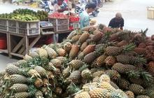 Manfaatkan KUR BRI, Pedagang Nanas Ini Sukses Kembangkan Produk Olahan yang Diminati Pasar