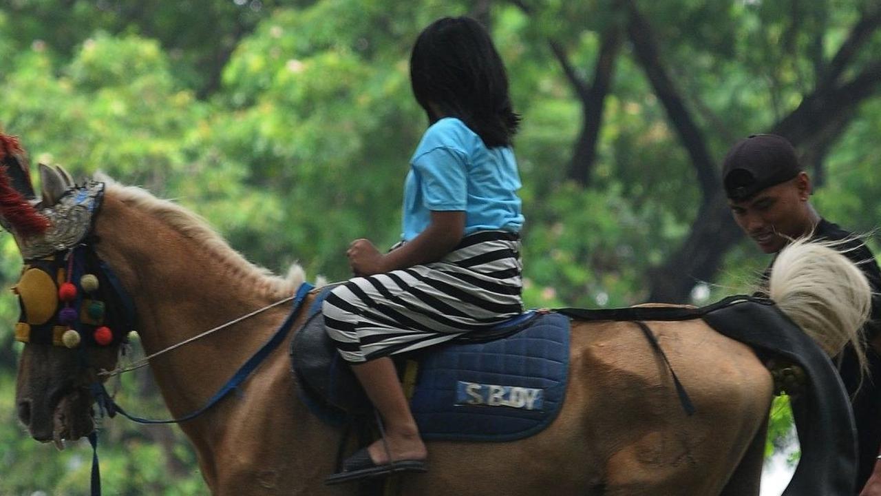 Di kawasan tersebut, ada jasa kuda tunggang yang menawarkan harga sewa yang terjangkau untuk wisatawan. Foto: merdeka.com / Imam Buhori