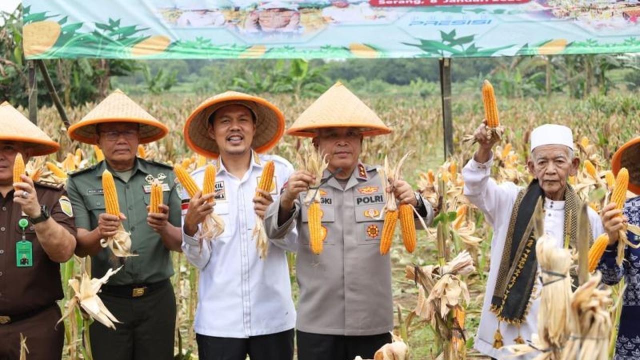 Polda Banten Perkuat Swasembada Pangan Nasional Lewat Panen Raya Jagung