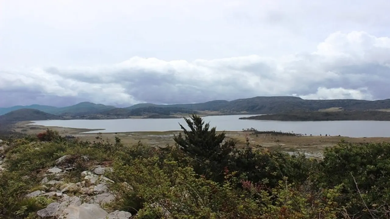Danau