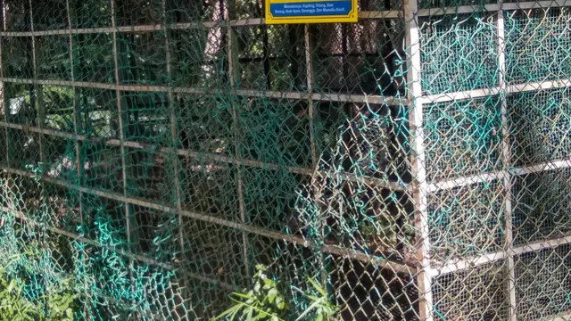 Hutan Wisata Mata Kucing Batam