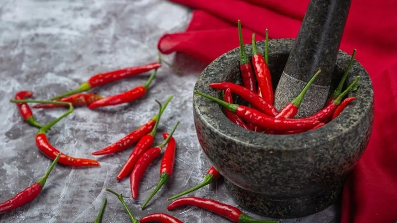 ilustrasi sambal