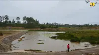 Embung Pea Parsinagaan Mengairi Lahan Pertanian hingga Dukung Pariwisata