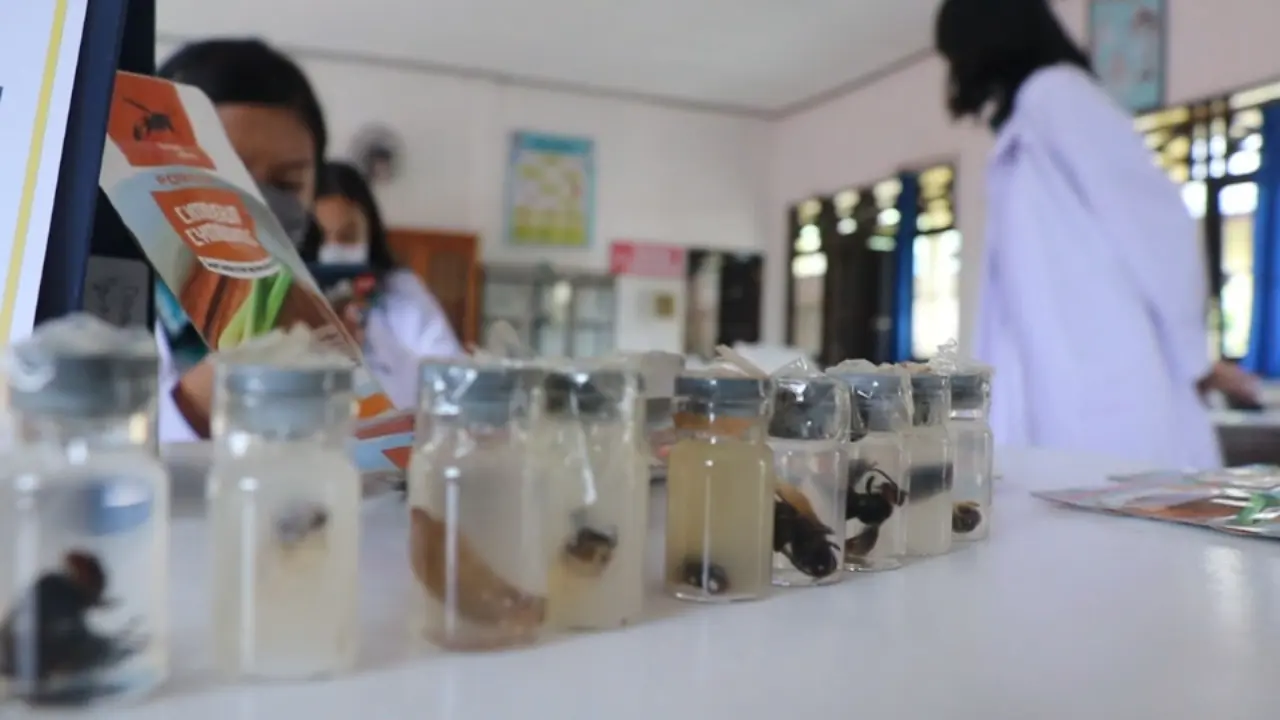 Penemuan Pembasmi Tawon