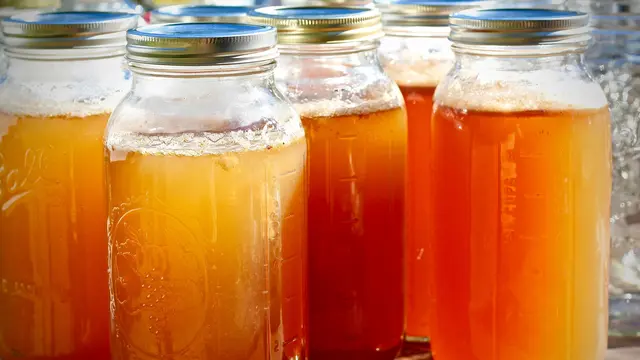 Kombucha