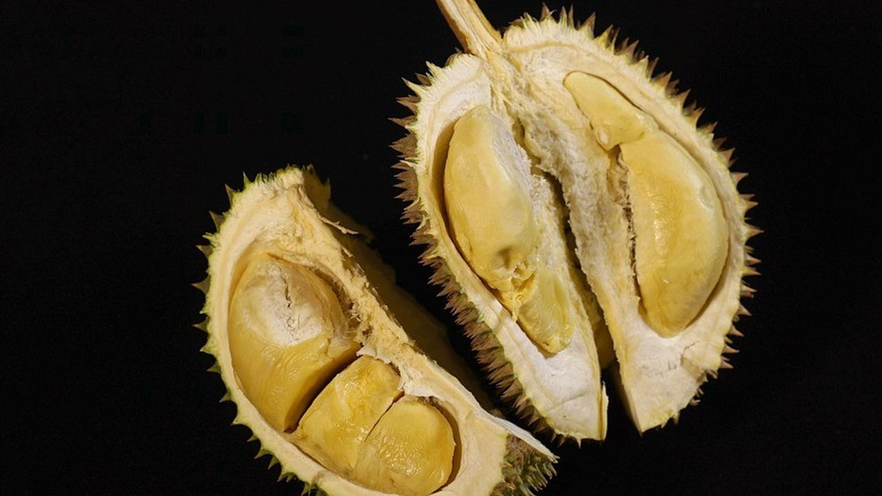 Punya Aroma Memabukkan, Benarkah Durian Mengandung Alkohol? Simak Penjelasannya
