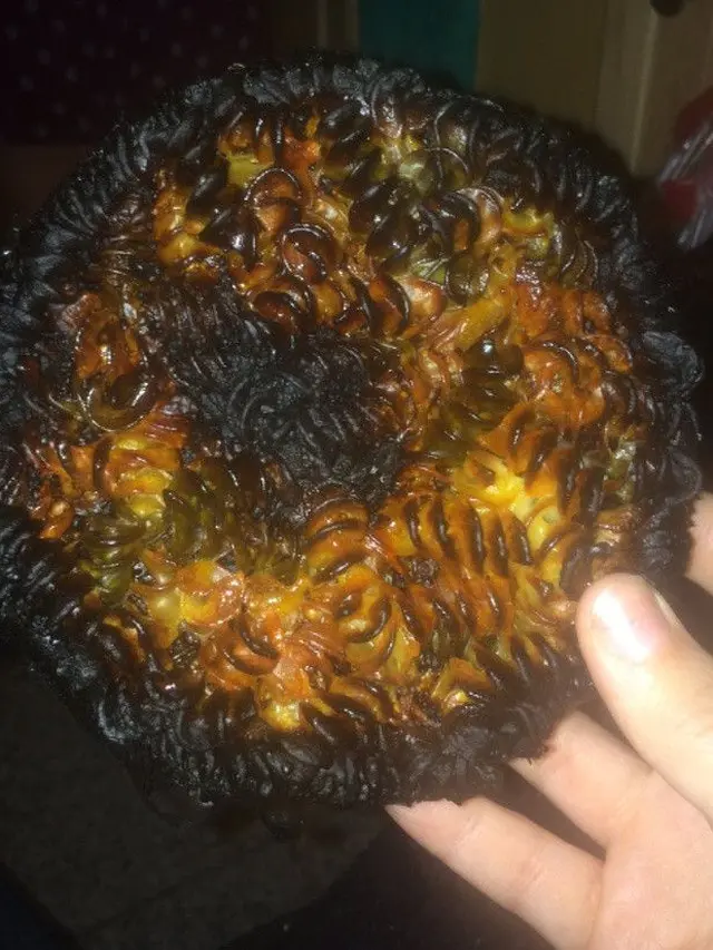 masakan gagal