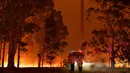 Petugas pemadam kebakaran menyemprot pohon saat berusaha memadamkan api akibat kebakaran hutan di sekitar kota Nowra, negara bagian New South Wales, Australia, Selasa (31/12/2019). (AFP/Saeed Khan)