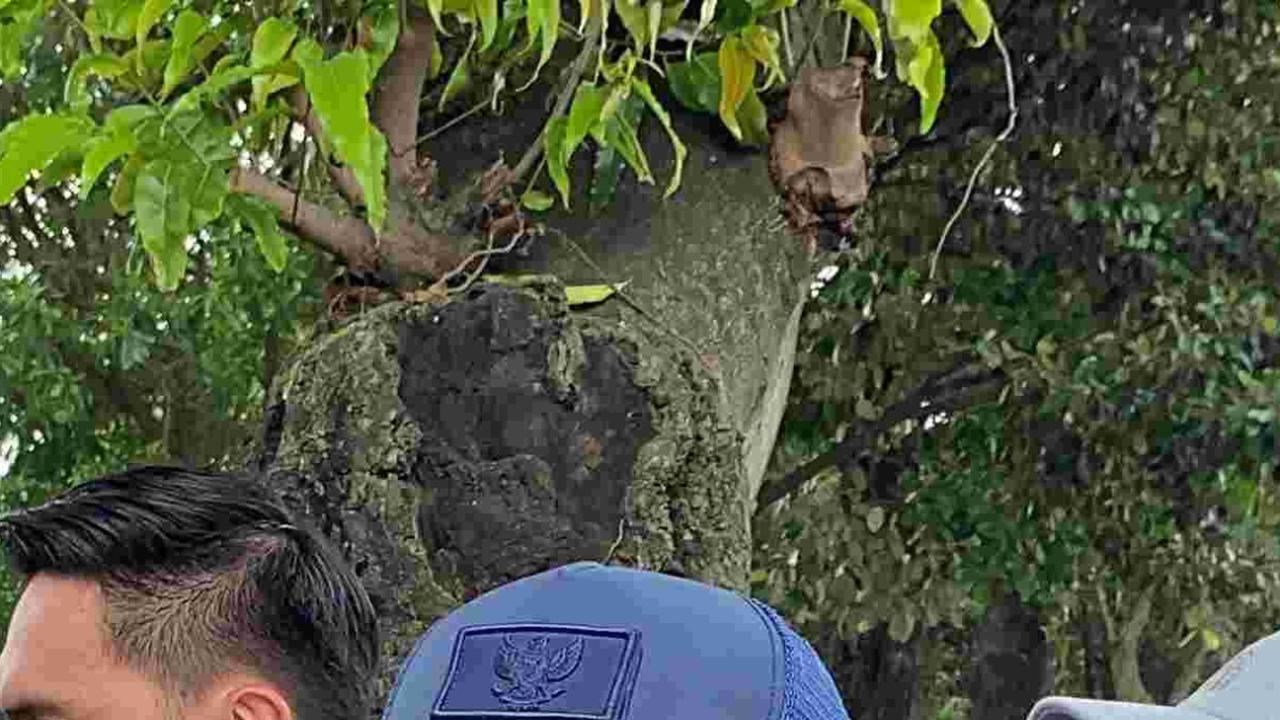 Menang di Quick Count, Prabowo Ziarah Ditemani Didit ke Makam Ibunda Hari Ini