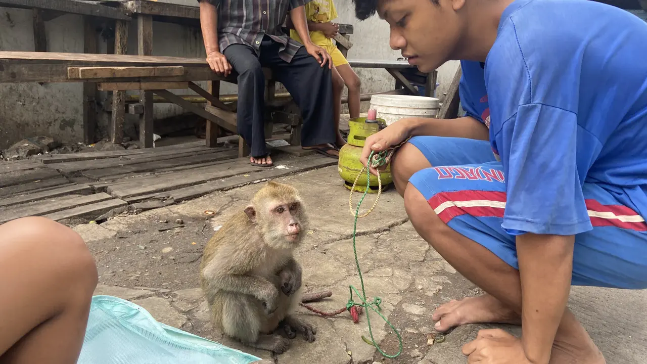 Alif (18) hanya bisa meratap sedih, saat seluruh satwa peliharaannya tewas terpanggang si jago merah saat kebakaran Depo Pertamina Plumpang, Koja, Jakarta Utara.