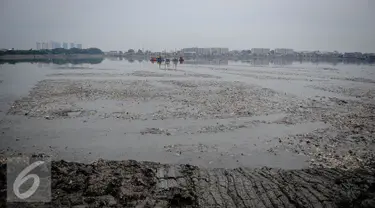 Suasana waduk yang kotor oleh sampah serta hitam dan tercium bau menyengat di Waduk Pluit, Jakarta, Senin (3/10). Sampah tersebut berasal dari bekas permukiman warga yang pernah mendiami wilayah tersebut. (Liputan6.com/Faizal Fanani)