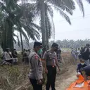 Terungkap Identitas Jasad Wanita Tergeletak di Kebun Sawit Mesuji