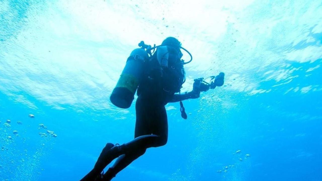 Wujudkan Impian, Penyelam Ini Berhasil Potret Makhluk Laut Paling Cantik Menggemaskan di Bali yang Ditemukan 30 Tahun Lalu