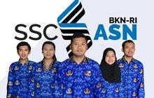 Lengkap, Jam Kerja dan Besaran Gaji untuk PPPK Paruh Waktu
