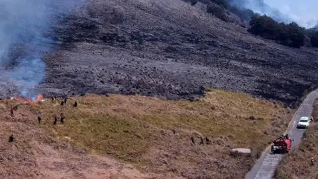 Sebagai informasi, akses wisata Gunung Bromo memiliki empat pintu masuk yakni mulai dari Probolinggo, di Desa Ngadisari, Kecamatan Sukapura, dan dari Pasuruan di Desa Wonokitri, Kecamatan Tosari.