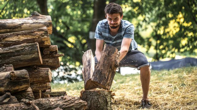 Ilustrasi menebang pohon