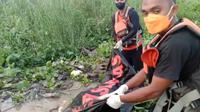 Korban terkaman buaya di Kolaka Timur, Wacalling (60) akhirnya ditemukan setelah 48 jam kerabat dan tim SAR gabungan melakukan pencarian di pinggir sungai.
