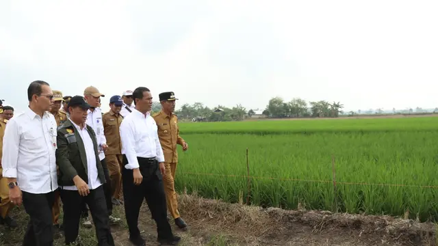 Optimalkan Lahan Rawa, Mentan Gandeng Para Pemuda dan Penyuluh Pertanian