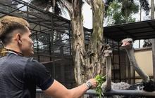 Bak Sehari di Kebun Binatang, Intip Momen Keseruan Aisar Khaled Kunjungi Rumah Alshad Ahmad