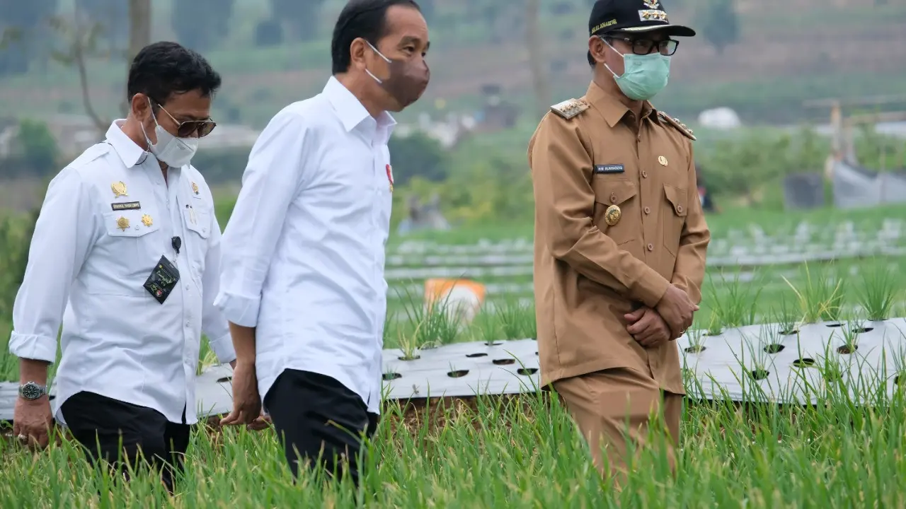 Presiden Joko Widodo Apresiasi Kawasan Food Estate Kementan