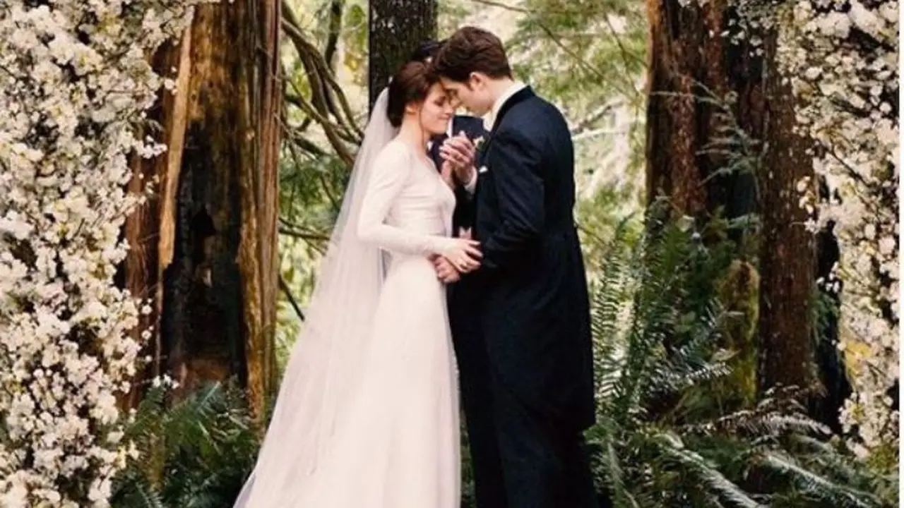 12 Tahun Tertunda, Buku Prekuel Twilight Akan Rilis Agustus 2020