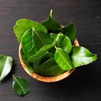 Ilustrasi daun jeruk. (Foto: Istimewa)