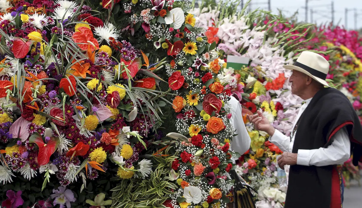 Seorang pria melihat rangkaian bunga saat digelarnya festival bunga tahunan di Medellin, Kolombia, Minggu (9/8/2015). Festival yang dikenal dengan nama Silleteros Parade ini telah dilangsungkan sejak 1957. (REUTERS/Fredy Builes)