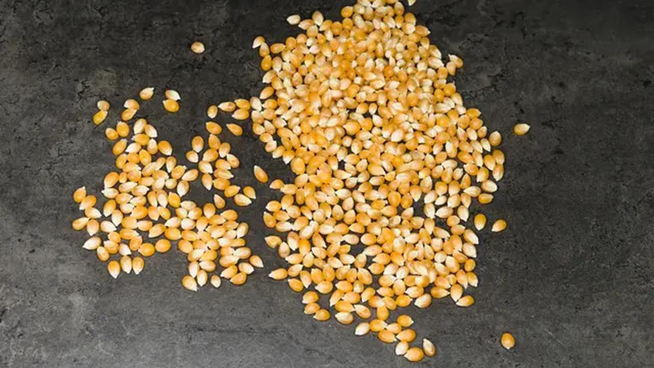 Cara Praktis Membuat Popcorn Lezat Menggunakan Rice Cooker