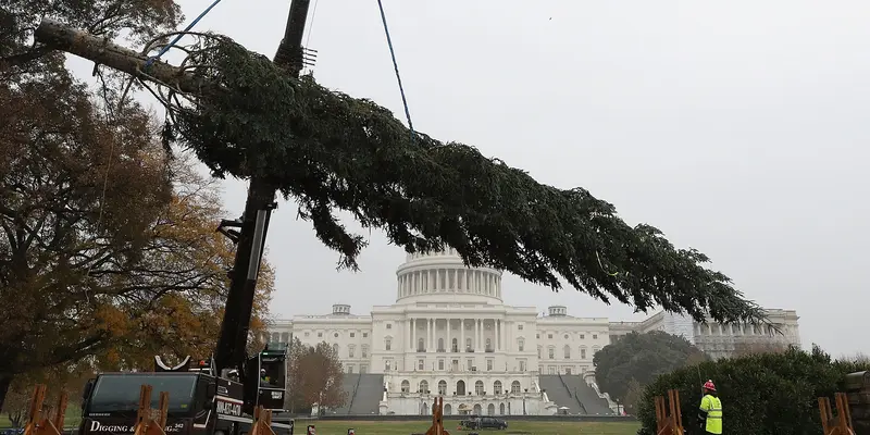 Pohon Natal Gedung Capitol