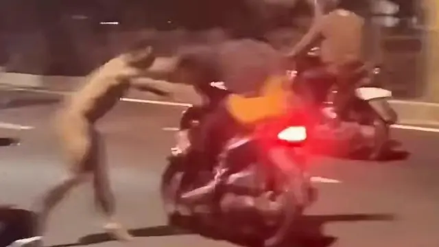 Pria Bugil Mengamuk di Lenteng Agung Dipastikan Bukan ODGJ
