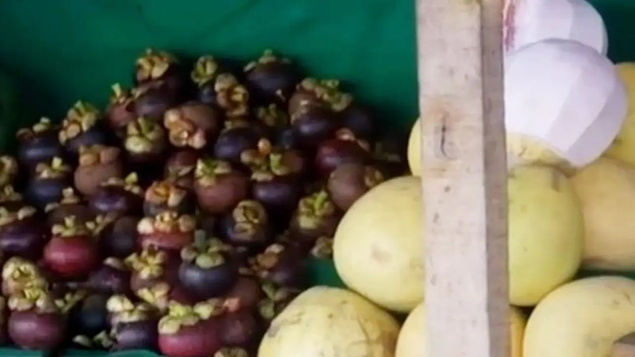 Segmen 1: TNI Tembak Warga hingga Buah Impor Langka