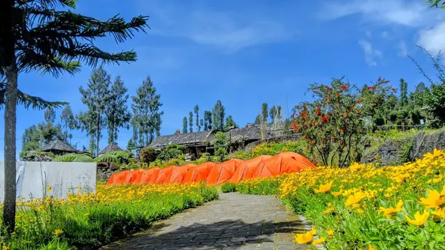 Spot Glamping Temanggung; Taman Wisata Alam Posong